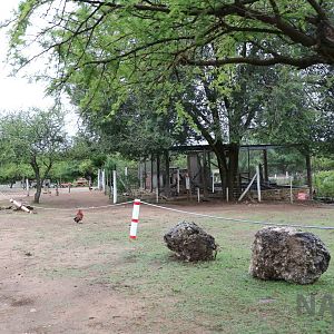 Capuchin enclosure - Tatu Carreta, April 2016.