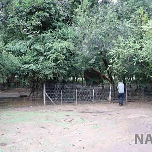 Capybara/brocket deer enclosure viewing area - Tatu Carreta, April 2016.