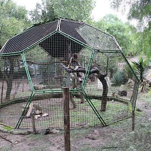 Macaw aviary - Tatu Carreta, April 2016.