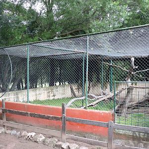 Meerkat enclosure - Tatu Carreta, April 2016.