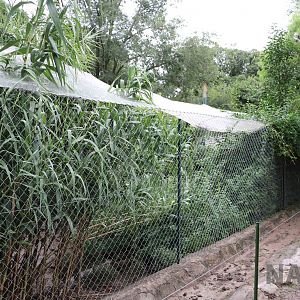 Long wetland aviaries - Tatu Carreta, April 2016.