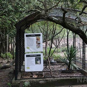 Pheasant aviary - Tatu Carreta, April 2016.
