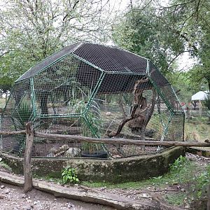 Tinamou/ Patagonian conure aviary - Tatu Carreta, April 2016.