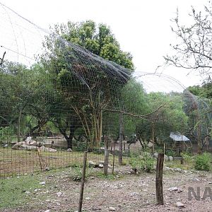 Bird of prey aviary - Tatu Carreta, April 2016.