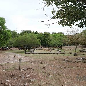 Central area of the zoo - Tatu Carreta, April 2016.