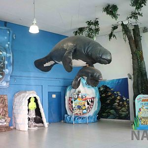 Manatee models and displays in the foyer, April 2016