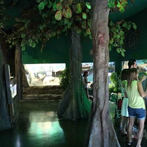 Amazon/pantanal exhibits, April 2016