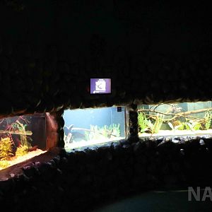 Unusual fish enclosures, April 2016