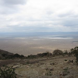 Ngoronogoro Crater