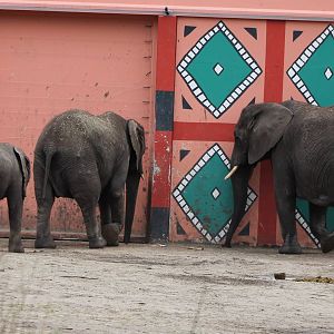 Waiting to go inside