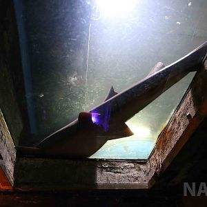 Overhead window, April 2016