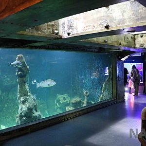 Second shark tank, April 2016