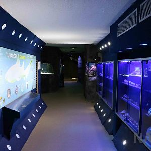 Educational corridor, April 2016