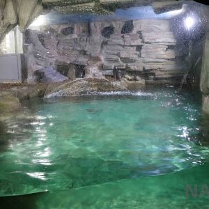 Part of the penguin enclosure, April 2016