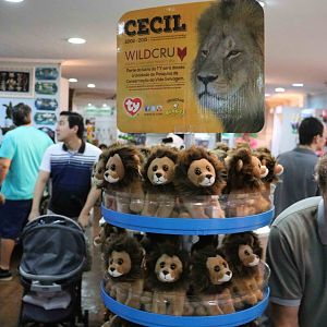 Cecil beanie babies for sale, April 2016