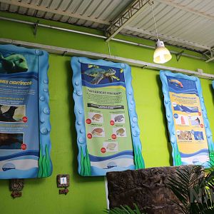 Educational banners, April 2016