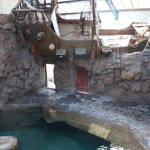 Seal pool, April 2016