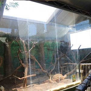 Tamandua enclosure, April 2016