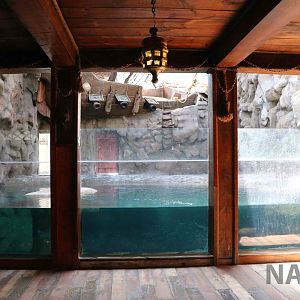 Seal viewing area, April 2016