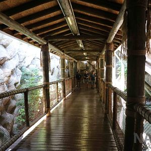 Route to Africa, April 2016