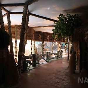 African displays, April 2016