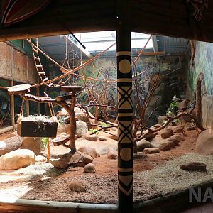 Lemur enclosure, April 2016