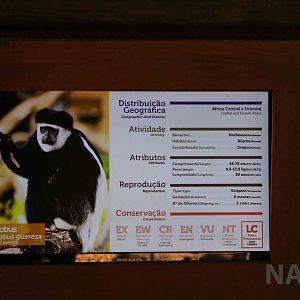 Colobus signs, April 2016