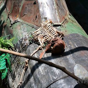 Crashed plane theming, April 2016