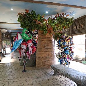 Australian displays, April 2016