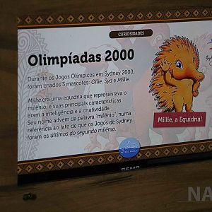 The echidna as an Olympic mascot, April 2016