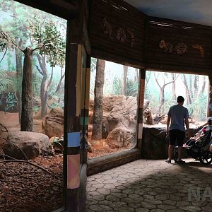 Echidna enclosure, April 2016