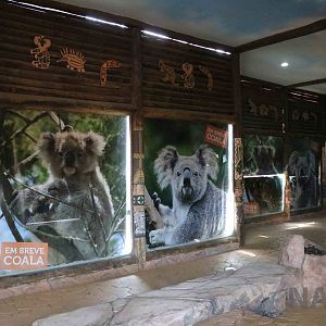 Construction of a koala exhibit, April 2016