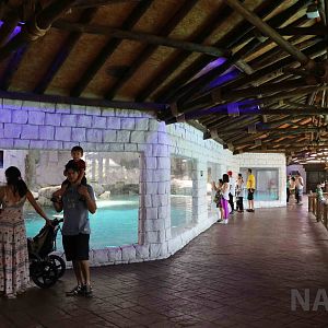 Polar bear viewing area, April 2016