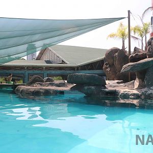 Mermaid enclosure, April 2016