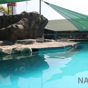 Fur seal enclosure, April 2016