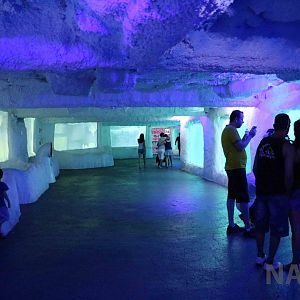 Underwater viewing, April 2016