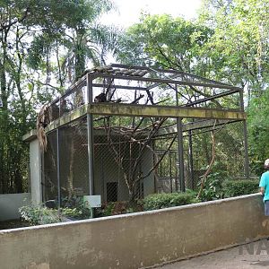 Brown howler monkey enclosure, April 2016