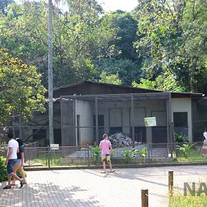 Small carnivore enclosures, April 2016