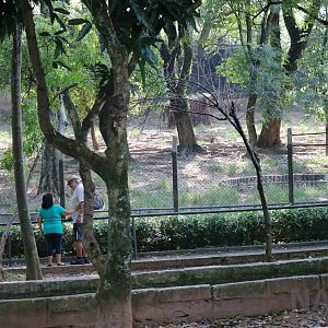 Rhea, tortoise and brocket deer enclosure, April 2016