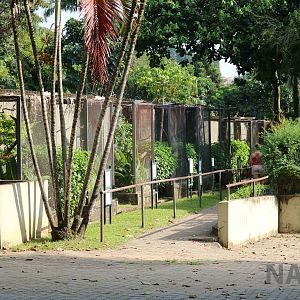 Small aviaries, April 2016