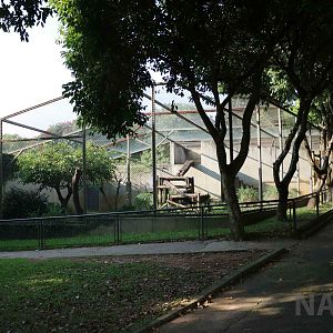 Jaguar enclosure, April 2016