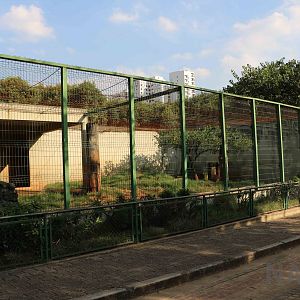 Lion enclosure, April 2016