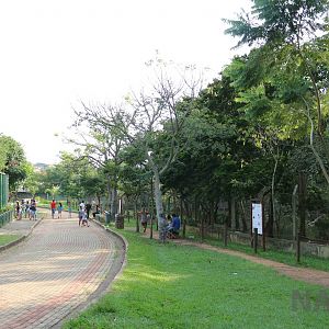 Tapir & caiman lakes viewing area, April 2016