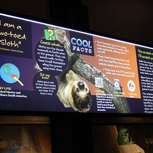 6/24/2016 - New Sloth Signage