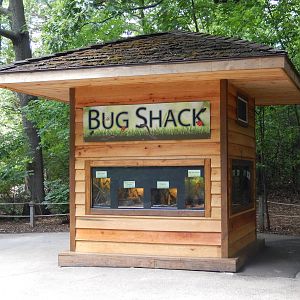 6/24/2016 - Bug Shack