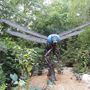 6/24/2016 - Dragonfly (Blue-Eyed Darner?)