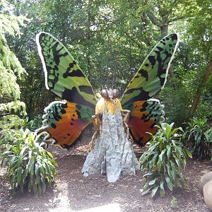 6/24/2016 - Madagascan Sunset Moth