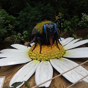 6/24/2016 - Bumblebee