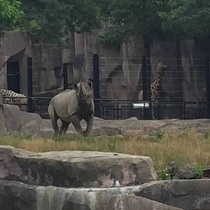 7/23/2016 - Mimi In Her New Exhibit