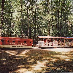 Catskill Game Farm Postcard